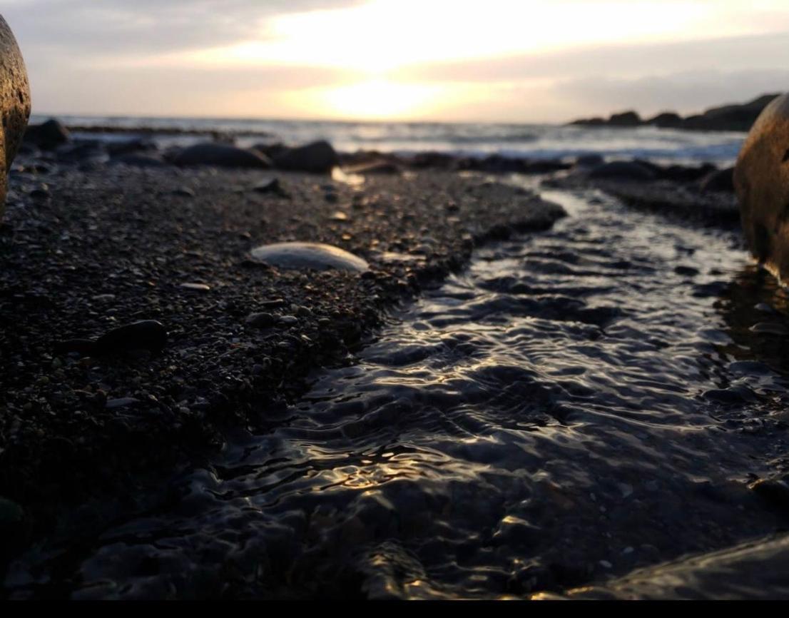 Bunnahabhain 5 - Farm Stay - Stunning Sea And Rural Views Stranraer Exteriér fotografie