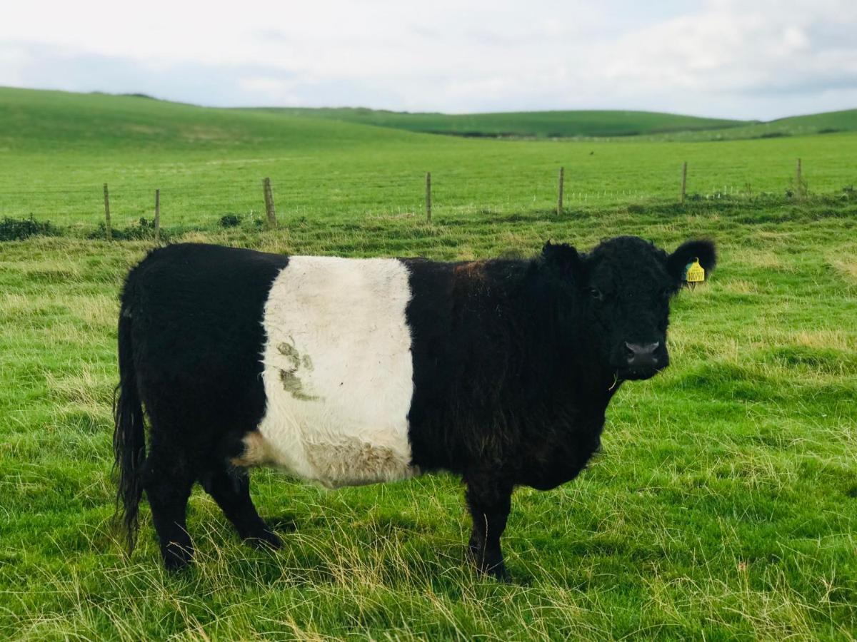 Bunnahabhain 5 - Farm Stay - Stunning Sea And Rural Views Stranraer Exteriér fotografie