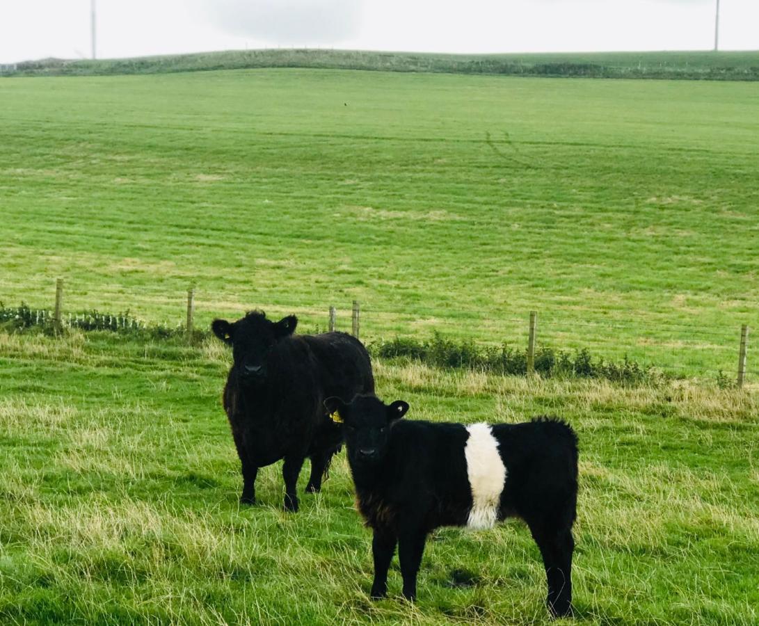 Bunnahabhain 5 - Farm Stay - Stunning Sea And Rural Views Stranraer Exteriér fotografie