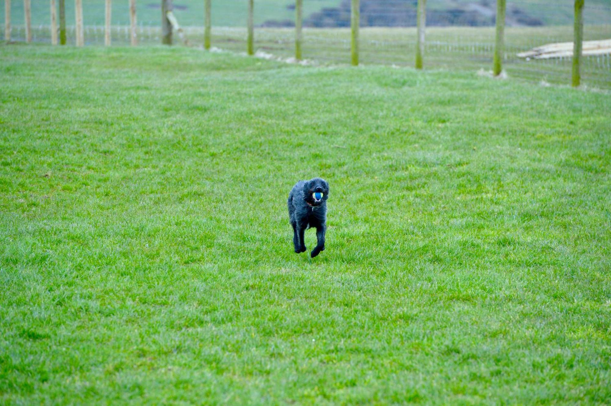 Bunnahabhain 5 - Farm Stay - Stunning Sea And Rural Views Stranraer Exteriér fotografie